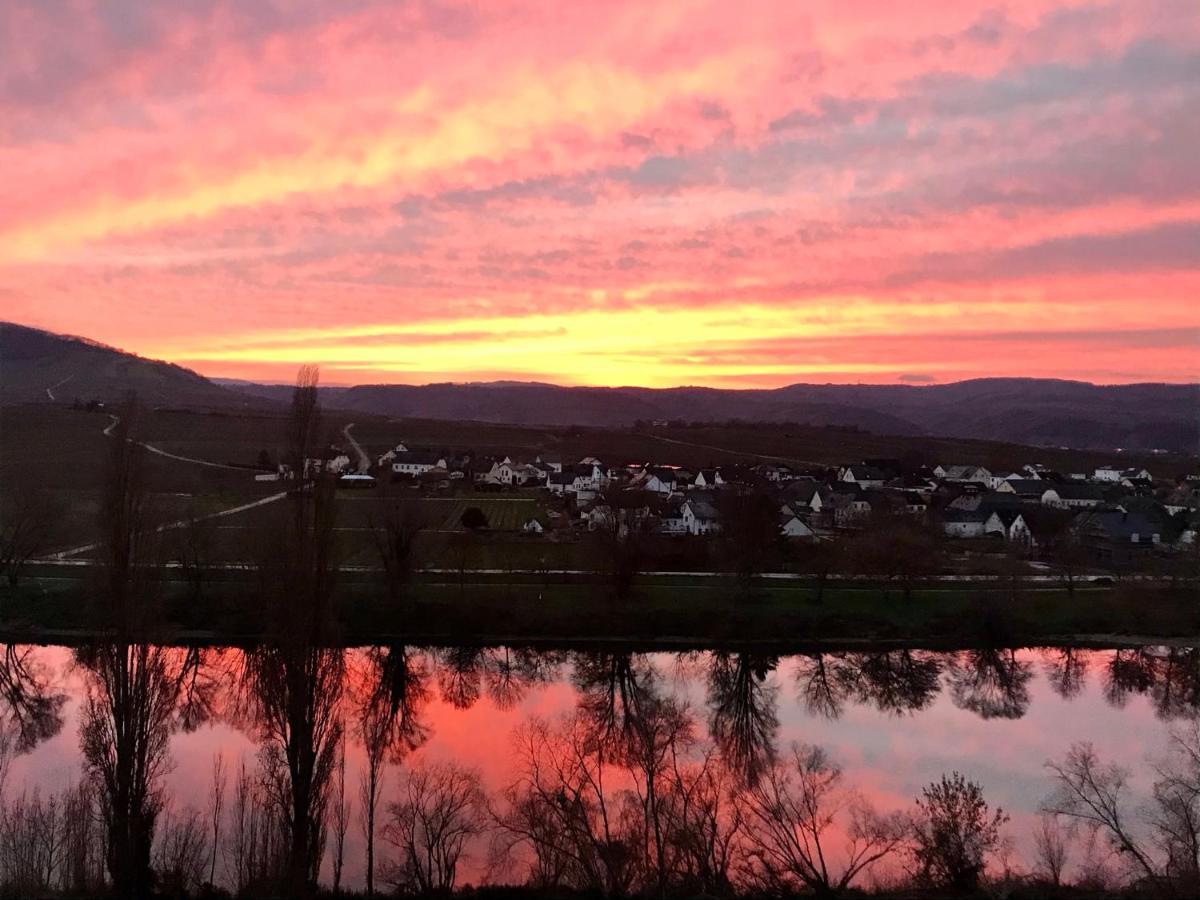 Weinlofts An Der Mosel Mit E10 Ladestation Apartment Kowerich ภายนอก รูปภาพ