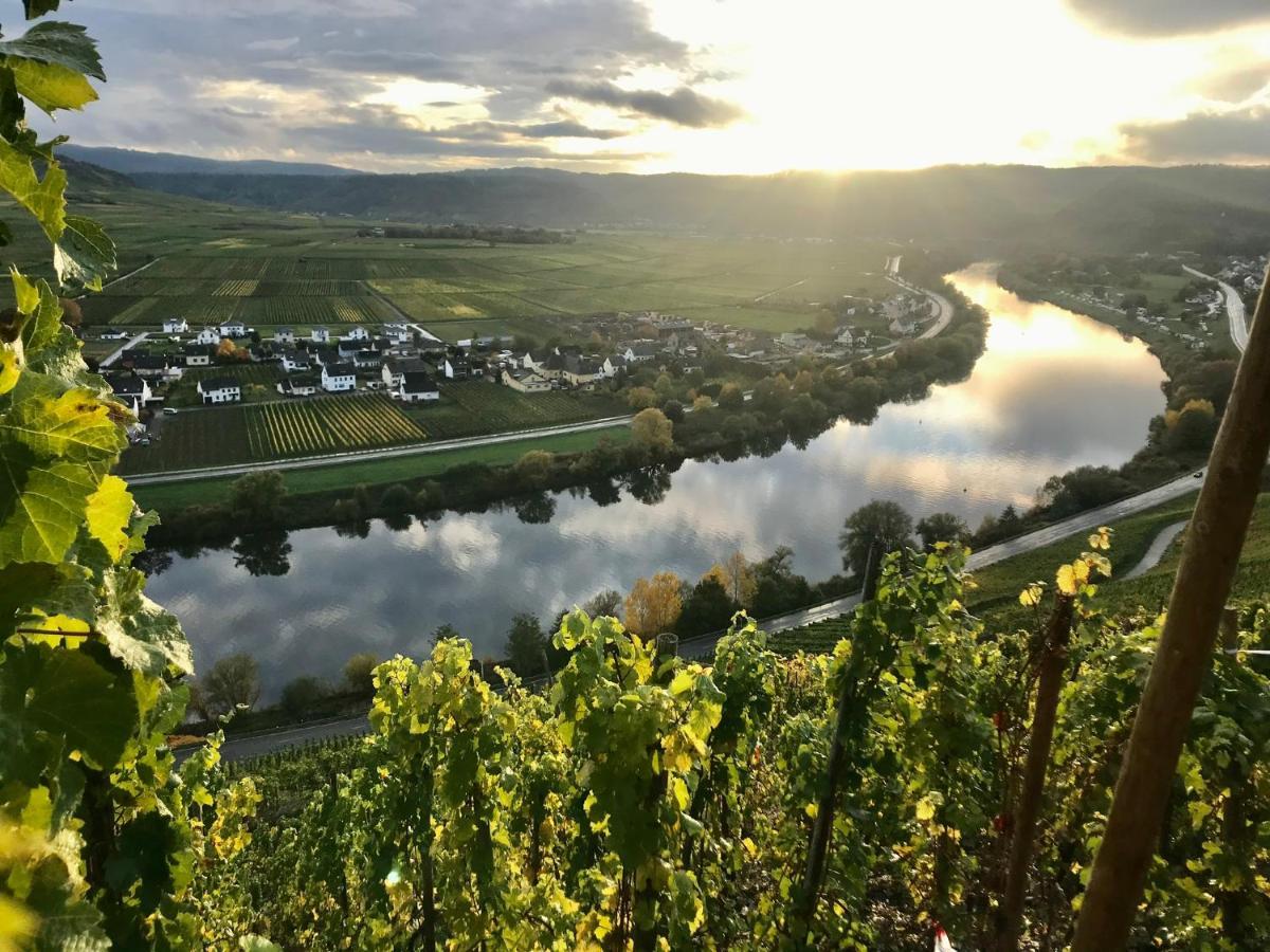 Weinlofts An Der Mosel Mit E10 Ladestation Apartment Kowerich ภายนอก รูปภาพ